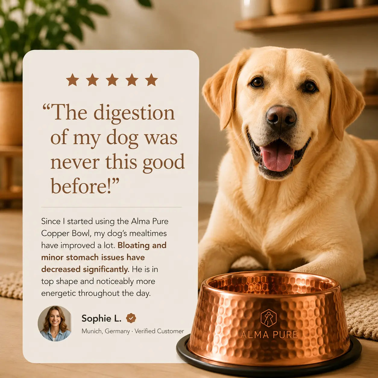 Alma Pure™ – 99.9% Pure Copper Bowl for Dogs & Cats