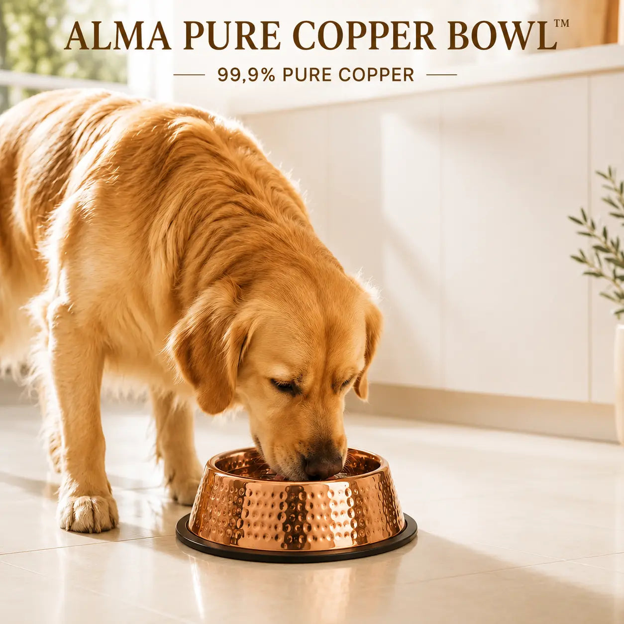Alma Pure™ – 99.9% Pure Copper Bowl for Dogs & Cats